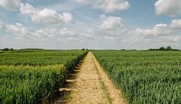 First harvest report of 2025 off to earliest start in 19 years